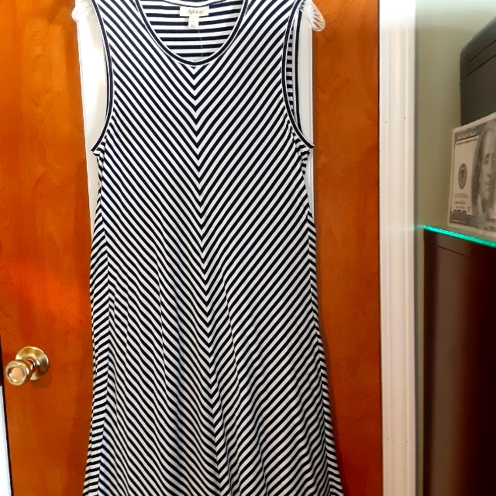 XLP NAVY ON WHITE SWING DRESS